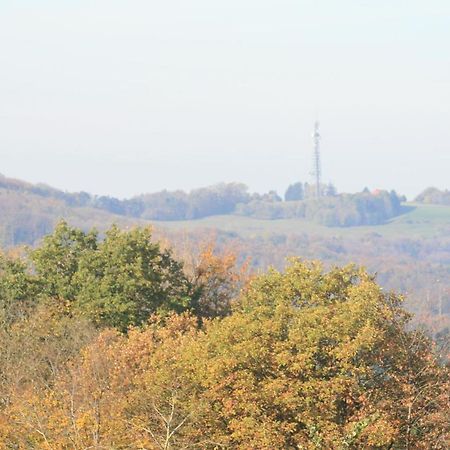 Fewo Im Naturpark Spiegelberg Bagian luar foto