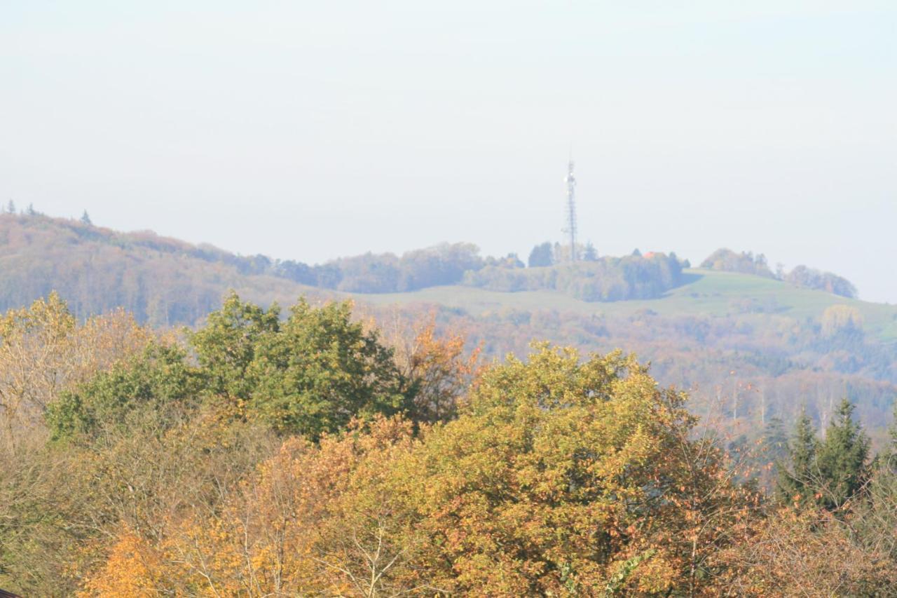 Fewo Im Naturpark Spiegelberg Bagian luar foto