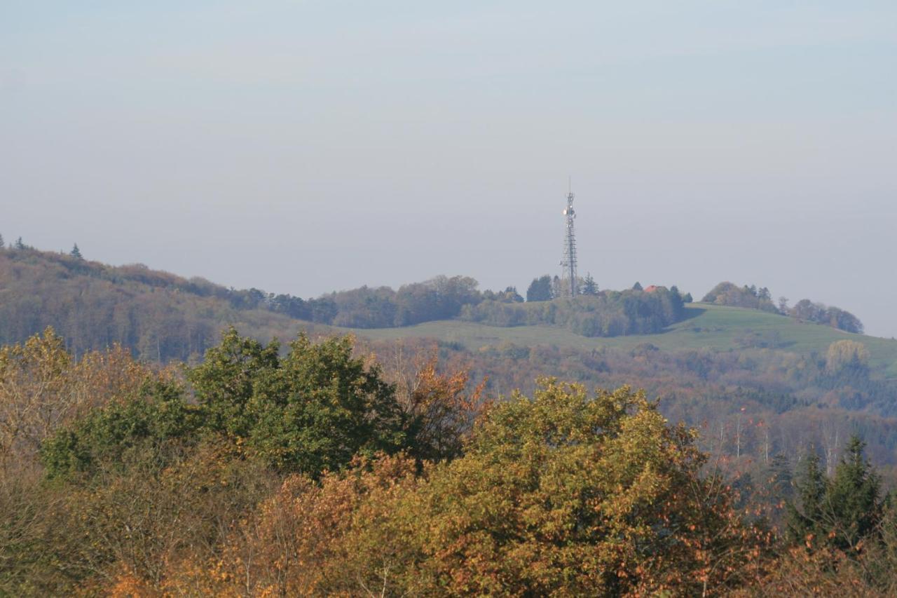 Fewo Im Naturpark Spiegelberg Bagian luar foto